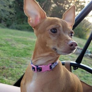 Meet your Posher, Kayla